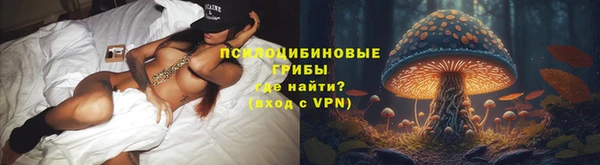 дмт Новокубанск