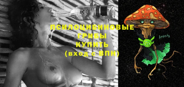 дмт Новокубанск