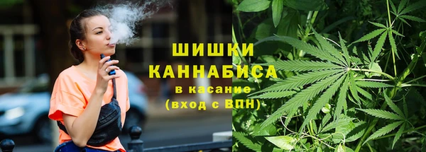 эйфоретик Новодвинск