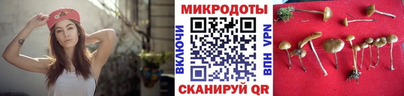Купить где  Кольчугино  Псилоцибиновые грибы прущие грибы 