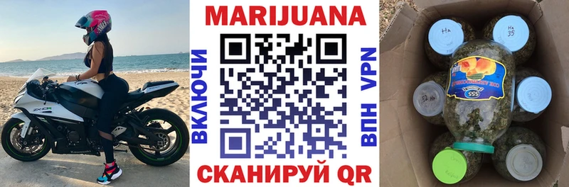 Бошки марихуана THC 21%  Купить где  Кольчугино 